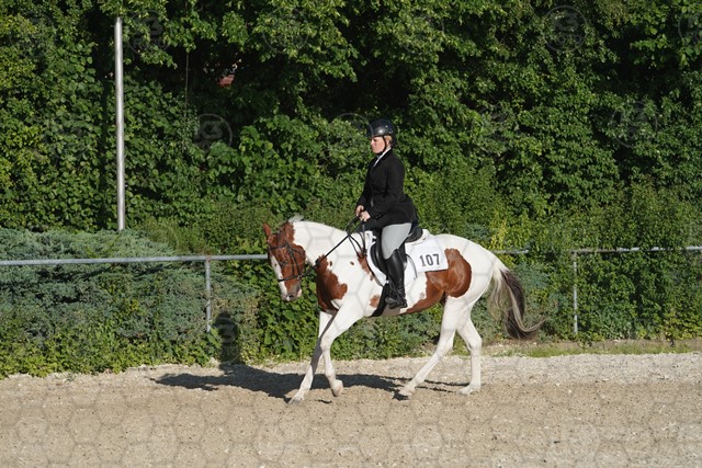 sA9K05890.JPG